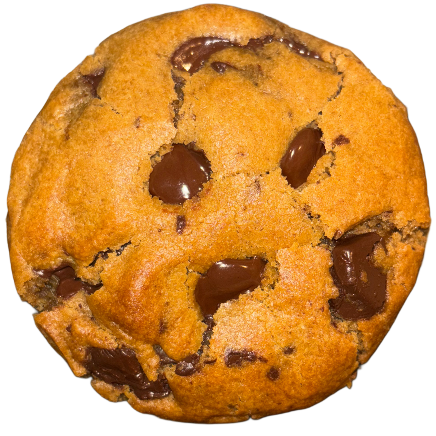 Classic Cookie