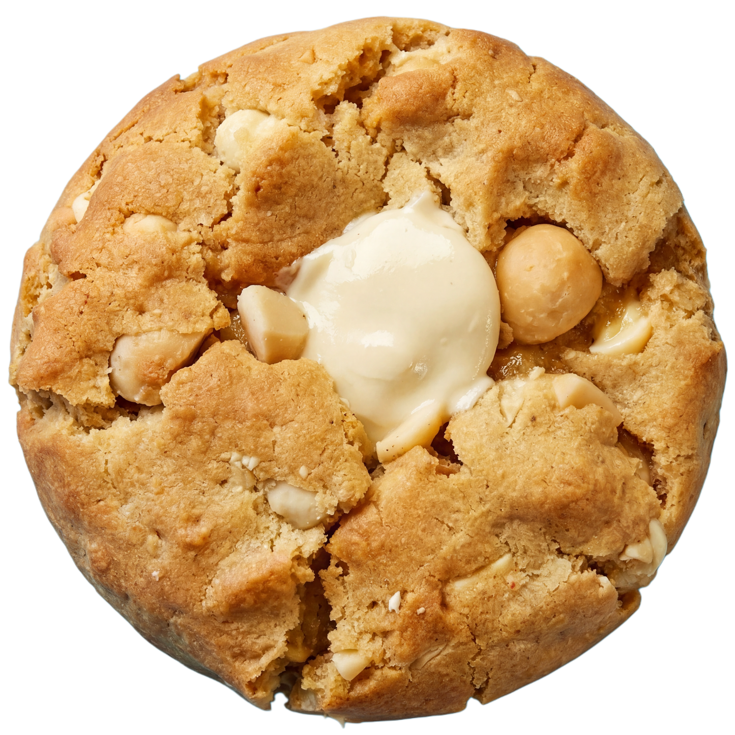 White Chocolate Macadamia